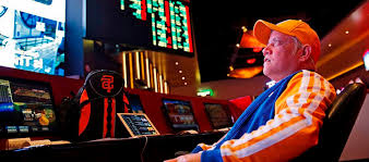 Вход на зеркало Vulkan 24 Casino